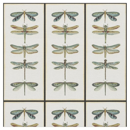 Tissu Collection de libellules par Chariklia Zarris (Fermer)