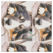 TISSU COLLÈGES FRONTALIERS (Fermer)