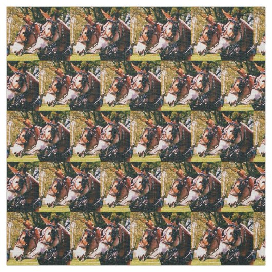 Tissu Colombie, jours de mule de TN (Échantillon)