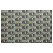 Tissu Colombie, jours de mule de TN (Fat Quarter)