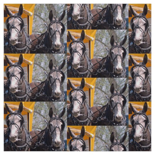 Tissu Colombie, jours de mule de TN (Échantillon)