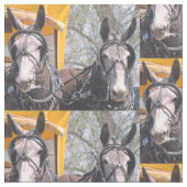 Tissu Colombie, jours de mule de TN (Détail)