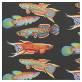 Tissu coloré de Killifish d'aquarium (Fermer)