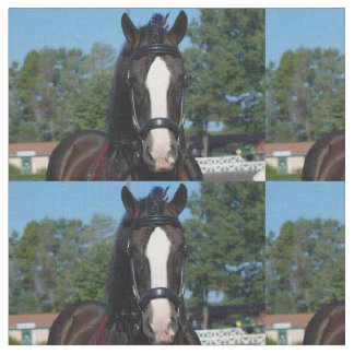 Tissu concours hippique d'ébauche de va de culpeper