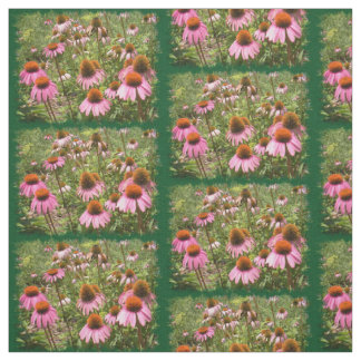 Tissu Conflowers
