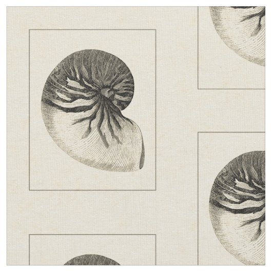 Tissu Conque noire et blanche vintage Shell (Fermer)