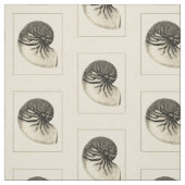 Tissu Conque noire et blanche vintage Shell (Échantillon)