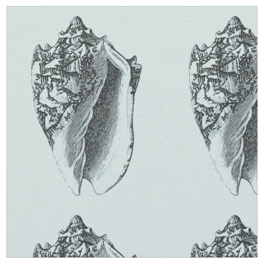 Tissu Conque Shell d'Aqua (Fermer)