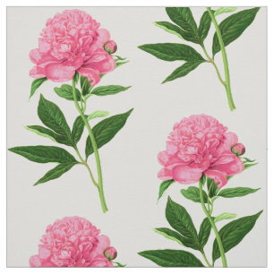 Tissu Copie botanique vintage, grande pivoine rose