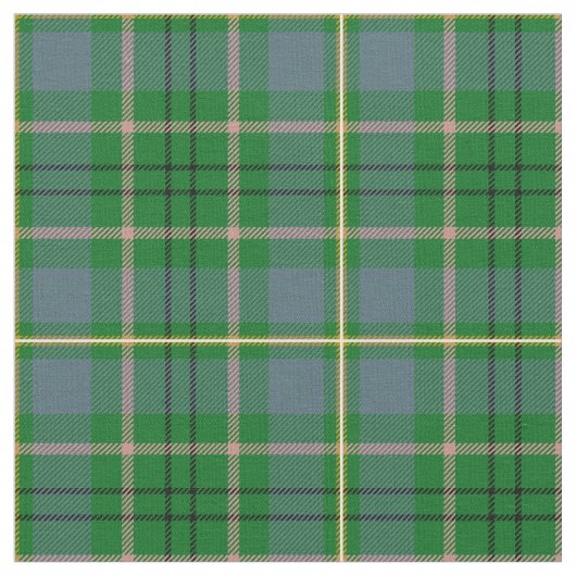 Tissu Copie de tartan de Taylor (Fermer)