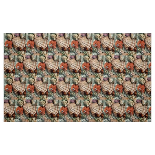 Tissu Coquillages (Fat Quarter)