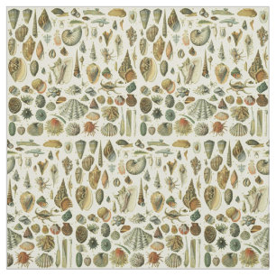 Tissu Coquillages de coquillages Mollusk Clam Élégant Ar