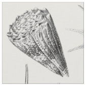 Tissu Coquillages vintages (Fermer)