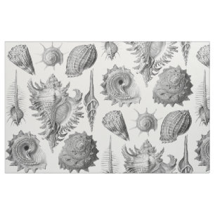Tissu Coquillages vintages