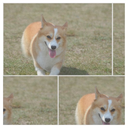 Tissu Corgi heureux (Fermer)