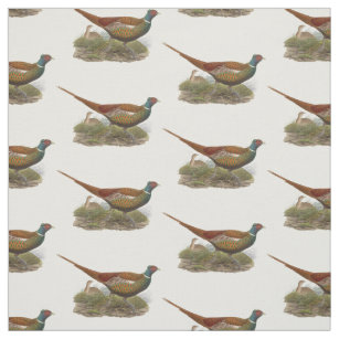 Tissu Couleur de dessin d'oiseau vintage de faisan