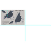 Tissu Coupe de Corbeau noir et Plushion à coudre (Carreau)