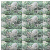 Tissu Coyote (Échantillon)