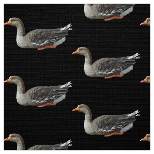 Tissu Croix du cygne gris (Échantillon)