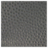 Tissu Cuir Emu Noir Ressemblant À Un Cuir (Fermer)