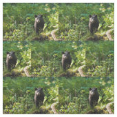 Tissu Curieux ours noir (Échantillon)