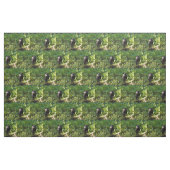 Tissu Curieux ours noir (Fat Quarter)