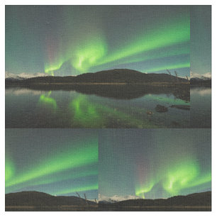 Tissu Curling Aurora