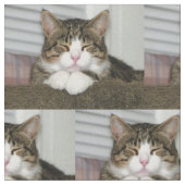 Tissu Cute chat (Fermer)