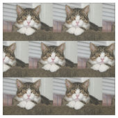 Tissu Cute chat (Échantillon)