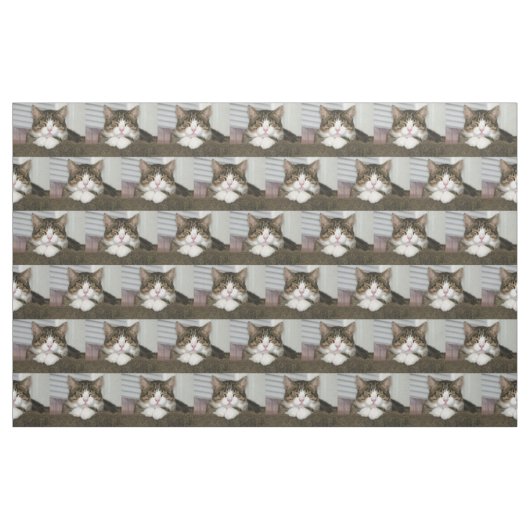 Tissu Cute chat (Fat Quarter)