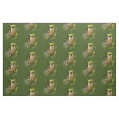 Tissu Cute gris du Canada / Grey Jay / Whiskeyjack (Yard)