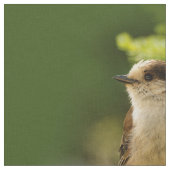 Tissu Cute gris du Canada / Grey Jay / Whiskeyjack (Fermer)