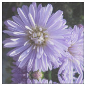 Tissu Cyrène (Fermer)