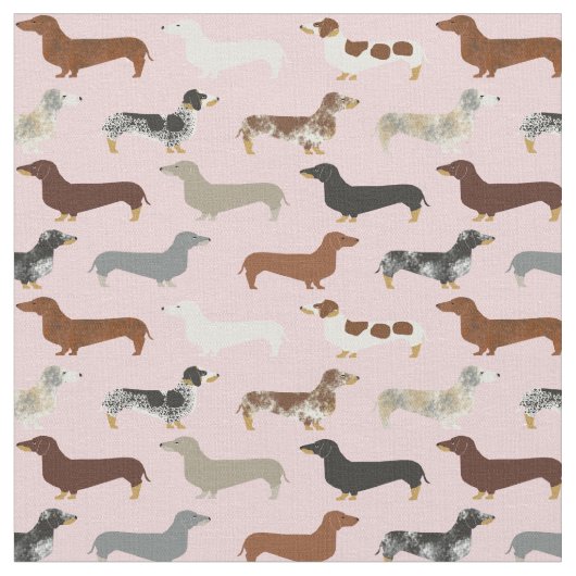 Tissu Dachshund dogs rose pastel (Fermer)