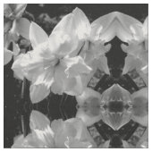 Tissu Daffodique noir et blanc (Fermer)
