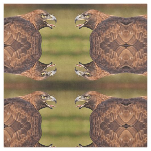 Tissu d'aigle sauvage (Échantillon)