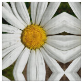 Tissu Daisy Dew (Fermer)