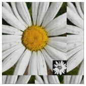 Tissu Daisy Fun (Fermer)