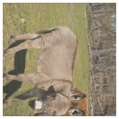 Tissu d'âne et de vache (Échantillon)