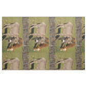 Tissu d'âne et de vache (Fat Quarter)