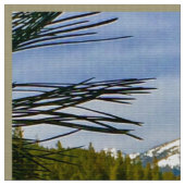 Tissu d'automne de montagne (Fermer)