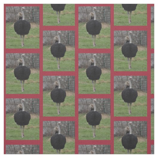 Tissu d'autruche (Échantillon)