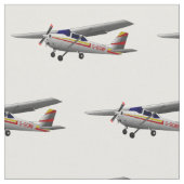 Tissu d'avion de Cessna 172 (Fermer)