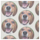 Tissu de beagle de visage à hurler environ (Échantillon)