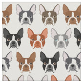 Tissu de Boston Terrier (Fermer)