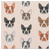 Tissu de Boston Terrier Heads (Fermer)