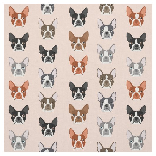 Tissu de Boston Terrier Heads (Échantillon)