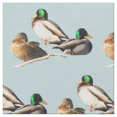 Tissu de canards de Mallard (Fermer)