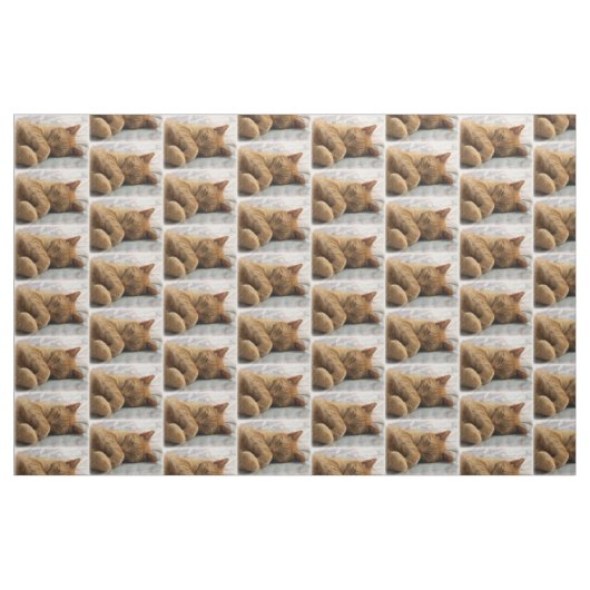 Tissu de chats couchés (Fat Quarter)
