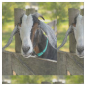 Tissu de chèvre (Fermer)